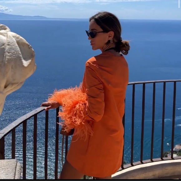 Zara Limited Edition Feathered Blazer Size M - Picture 3 of 17